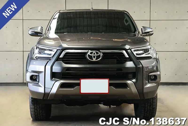 Toyota Hilux in Gray for Sale Image 2